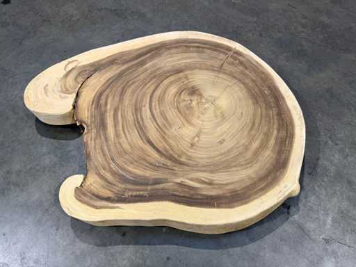 Rond suar boomstam blad 