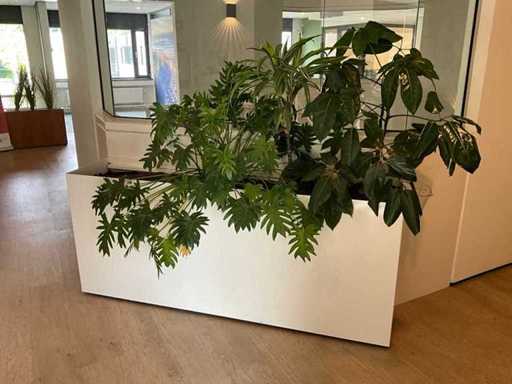 Plantenbak