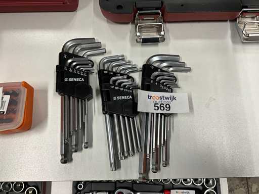 Set di chiavi a brugola Seneca (3x)