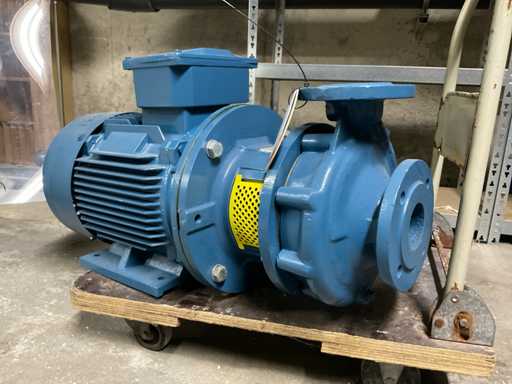 Pentair Sihi 50-200 Water Pump
