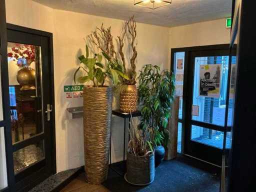 Plants with pots (4x)