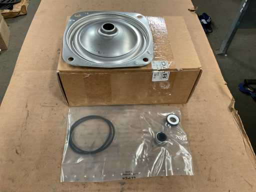 DAB-Wellendichtung (4x)