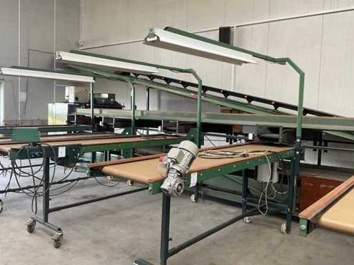 De Bruijn Reading Tape (C)