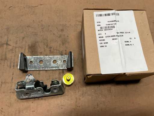 Chiavistello della porta veicolare (4x)