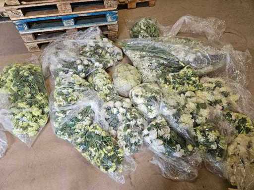 300+ fleurs artificielles et verdure