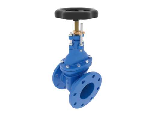 Hochwertiges DN50 PN16 Marine Globe Valve – Langlebiges gusseisernes Absperrventil für den Einsatz auf Schiff und See