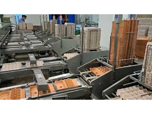 video-f1d06988df10fc04802ec1bbd785794a-V.mp4