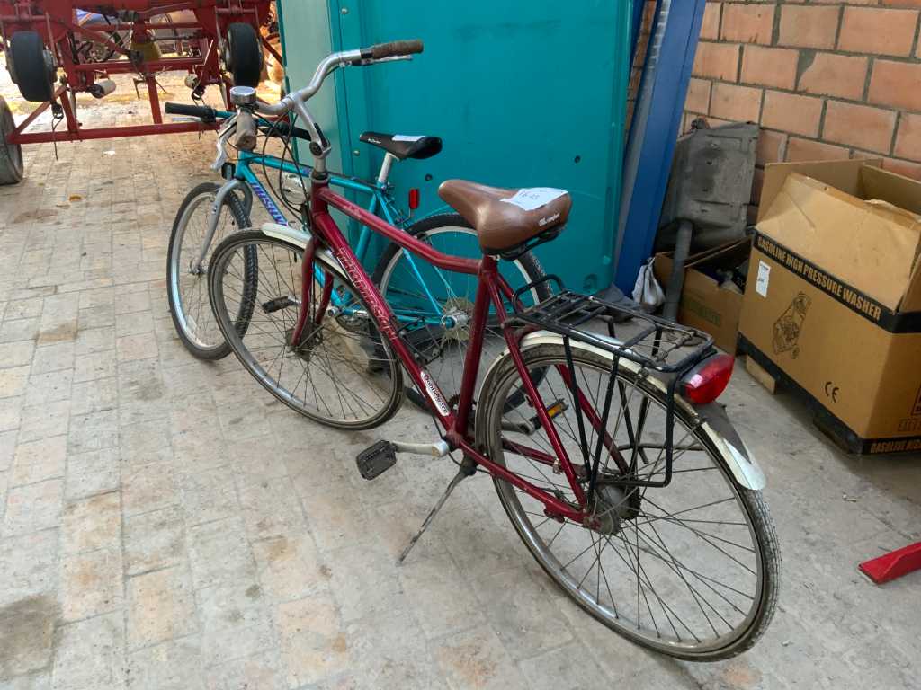 boys' and men's bikes