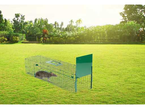 MaxxGarden 20143 Gabbia per trappole per animali (30 volte)