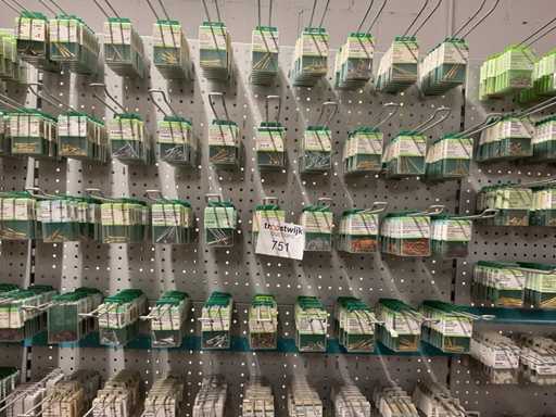 1 x Charge Blasenverschlüsse