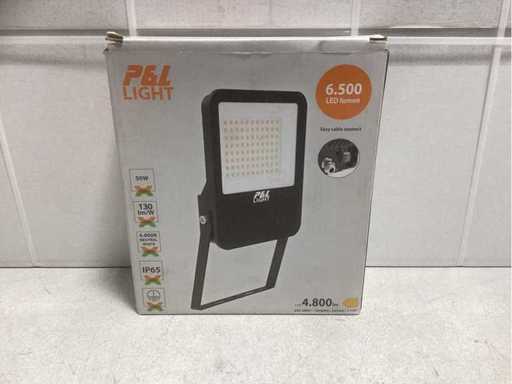 Illuminazione esterna con riflettori LED P&L (4x)