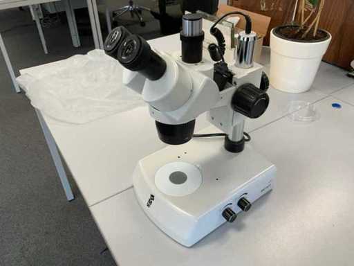 BMS 746575 Microscope