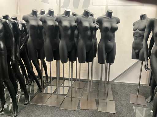 Charge von Schaufensterpuppen/Büsten (15x)