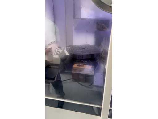 WhatsApp%2520Video%25202024-03-19%2520at%252013.12.45.mp4