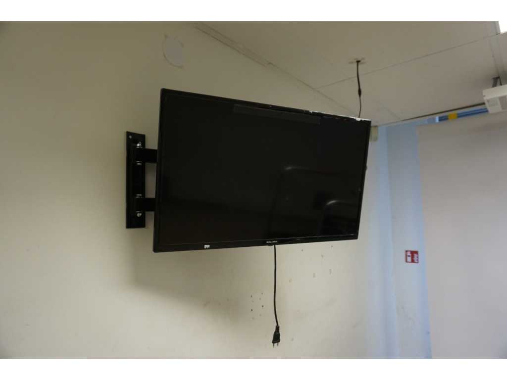 Salora - Televizor cu montare pe perete