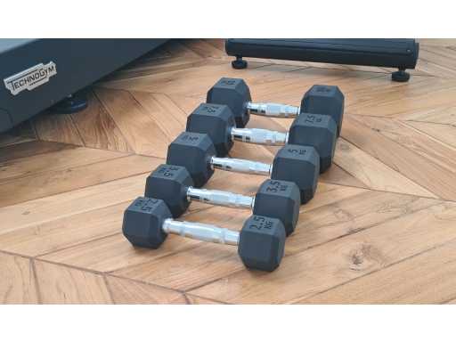 Technogym technogym cct012 10 sets van 5 zeshoekige dumbbells (kg 2,5 - 3,5 - 5 - 7,5 - 10) cct012