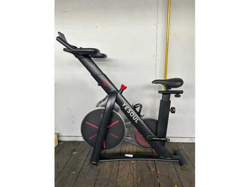 YESOUL S3 Smart Indoor Exercise Bike