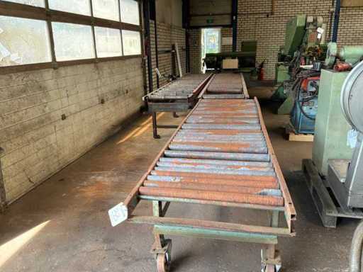 Transportor cu role (3x)