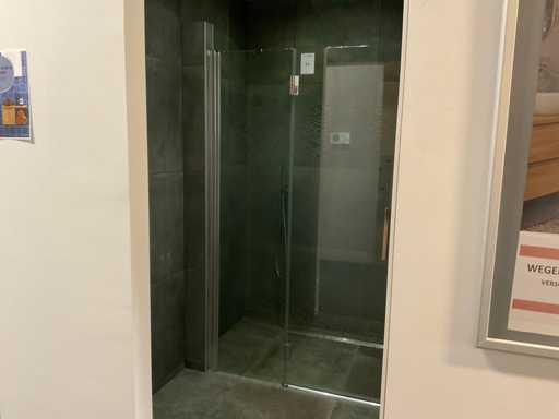 Porte de douche niche