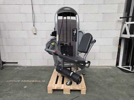 EXTENSION DE JAMBE AURA DE MATRICE G3