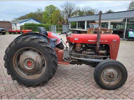 Mf - 35 - Oldtimer-Traktor
