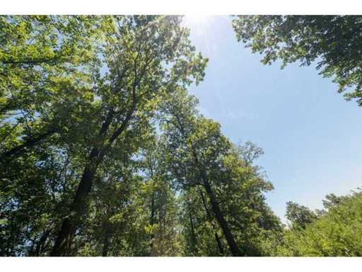 12,010 m² of forest land in the Vidin region - Bulgaria