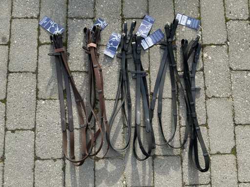 Reins horses (6x)