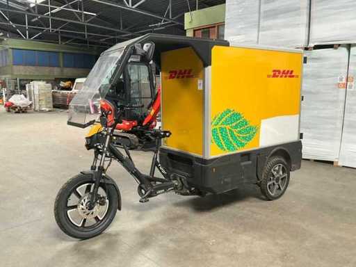 Fulpra 3000L vélo cargo à double batterie Vélo de transport électrique