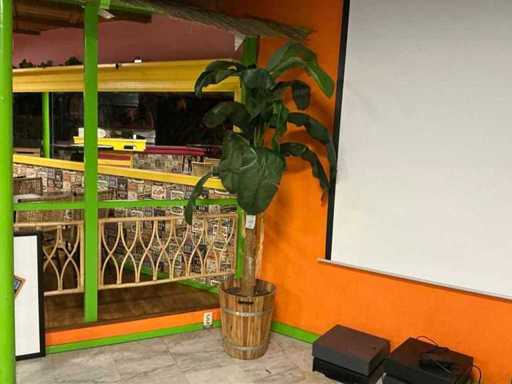 Artificial plant (4x)