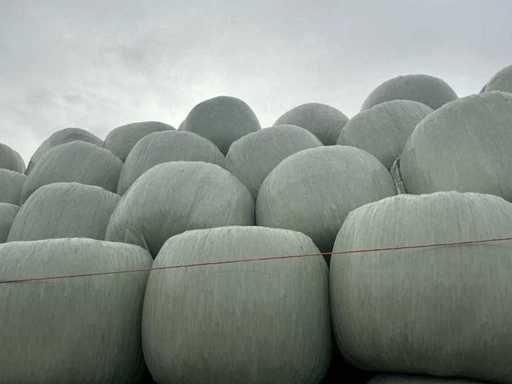 Mini-Corn bales 65Kg. lot 100 pieces.