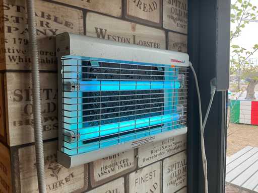 Chameleon - Insectenvanger (2x)