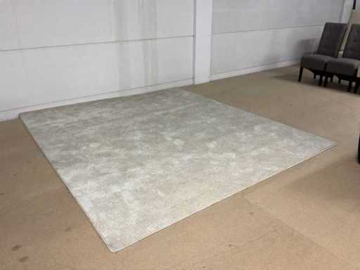 Joris Rug