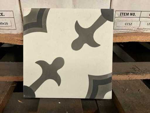 Lotto di piastrelle di cemento