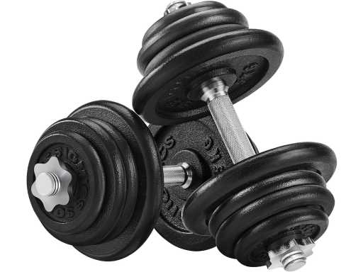 Lot de 2 Haltères, en Fonte, Poids Réglable, Barre en Acier