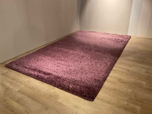 Tapis de la culture Ponsaerts
