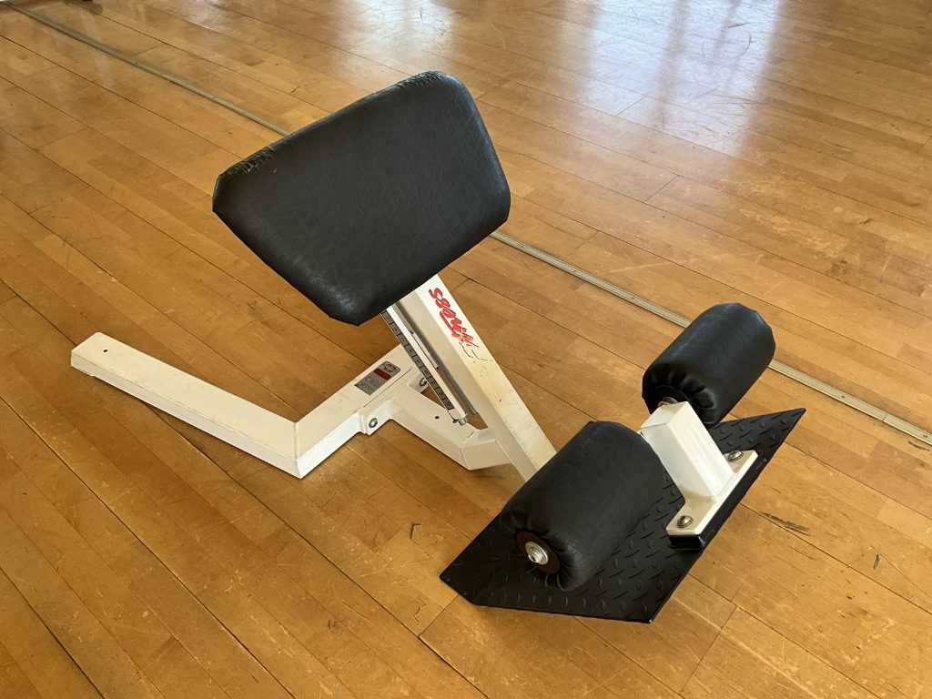 Life Fitness Hyperextension / Back Extension