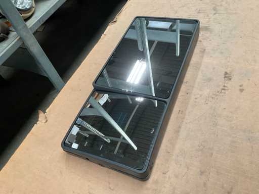 Rierview mirror assembly (2x)