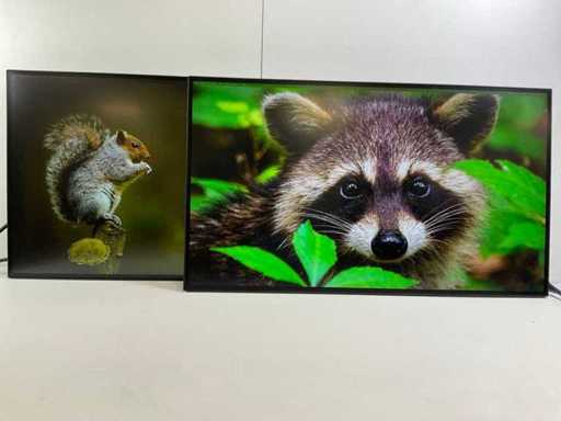 Lenovo (P27h-20) 27", 2560x1440 (QHD) Moniteurs IPS (2x)