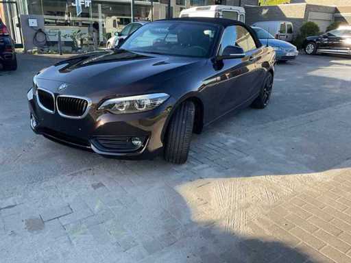 2018 BMW 218i Cabrio Passenger Car