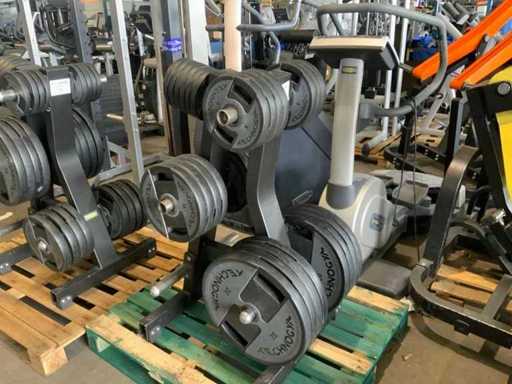 Technogym schijven + pure rek 8x20;7x10;8x5;6x2,5kg Krachtstation