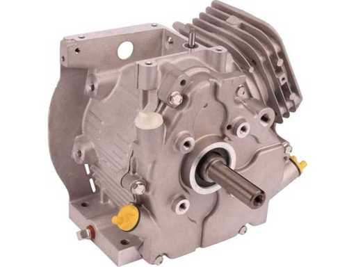 Briggs&Stratton Gasoline engine (2x)