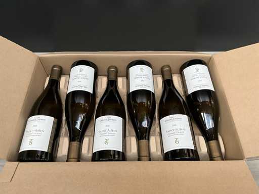 Gerard Thomas Saint Aubin Champ Tirant 2021 (6x)