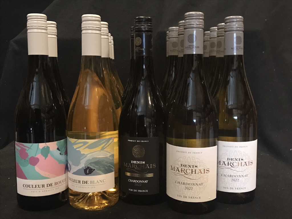 Various types of French white and red wines (22x)