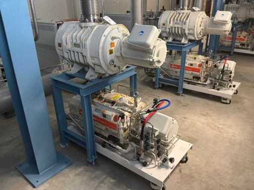 2022 Busch Cobra NS 0600 C / Panda WY 3600 Ein Vakuumpumpen-Booster Kombi