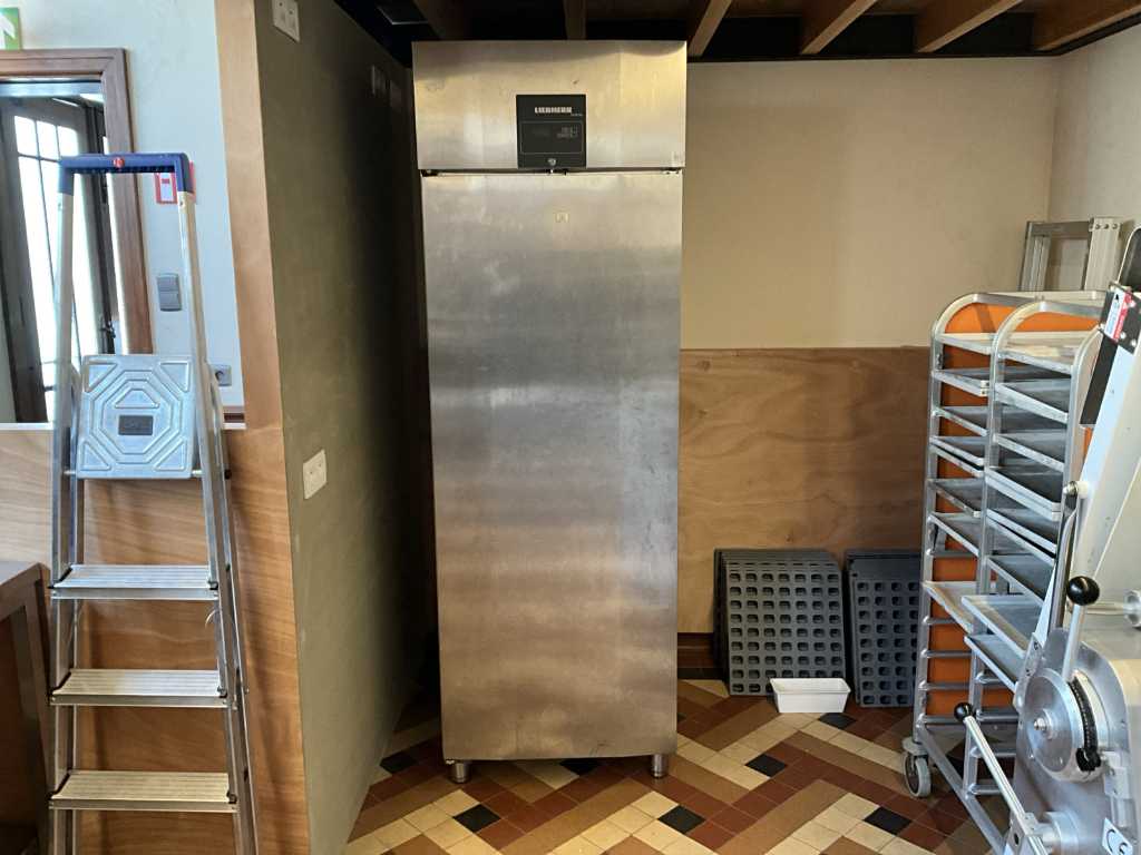 Stainless Steel Refrigerator LIEBHERR ProfiLine