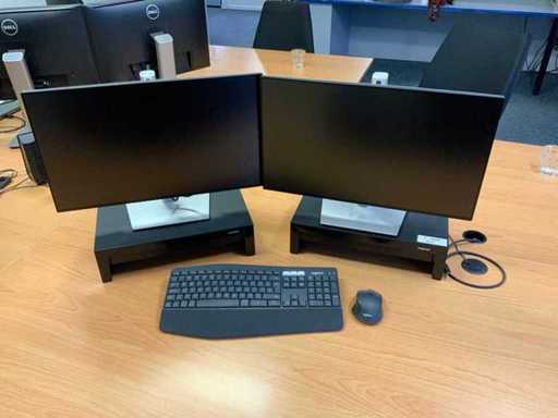 Dell Displays (2x)
