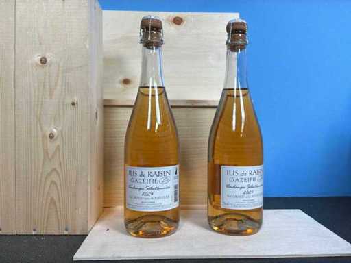 Paul Giraud Jus de Raisin Vino analcolico (18x)