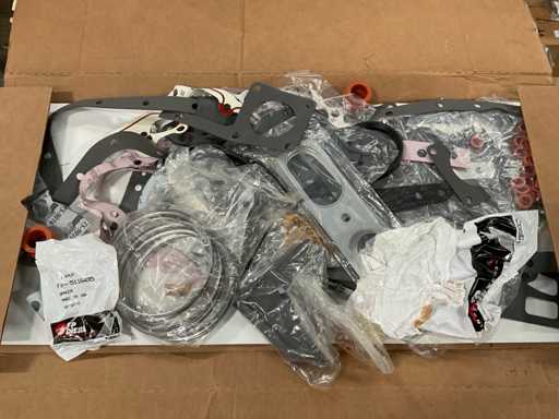 Kit de garnitură diesel FP