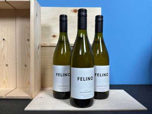 Viña Cobos Mendoza Chardonnay Vino bianco 2024 (20 volte)