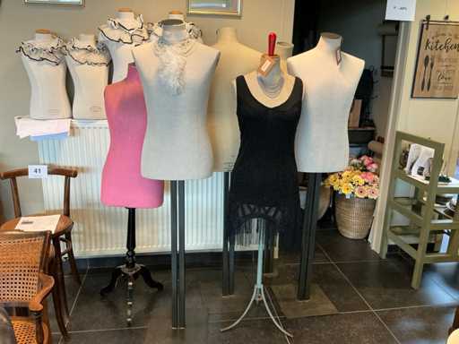 Diverse bustes (11x)